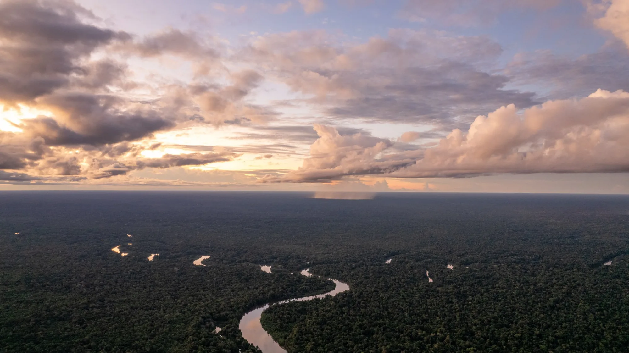 Un río serpentea entre la selva al atardecer, visto desde el aire